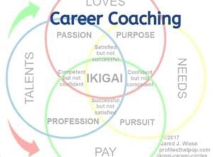 Career Coaching - ProfilesThatPOP.com